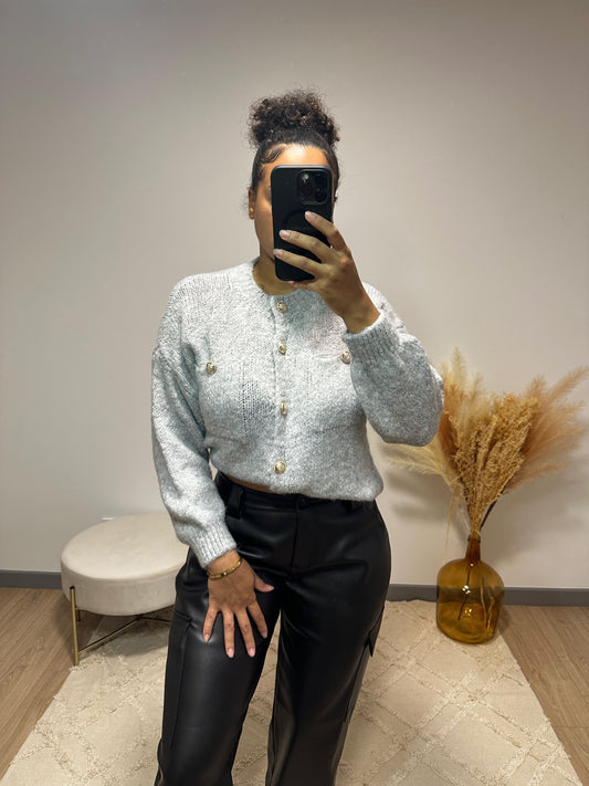 Cardigan Cassie gris